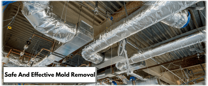 Air Duct Mold Removal in Sandy Springs GA