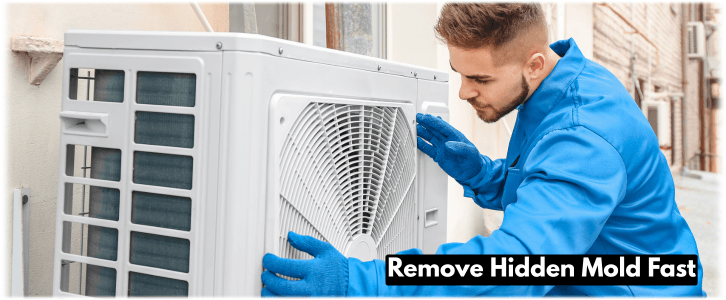 HVAC Mold Removal Sandy Springs GA